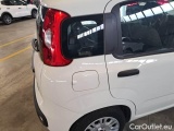  Fiat  Panda FIAT  / 2011 / 5P / BERLINA 1.0 70CV SeS HYBRID #42