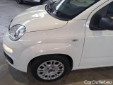  Fiat  Panda FIAT  / 2011 / 5P / BERLINA 1.0 70CV SeS HYBRID #59