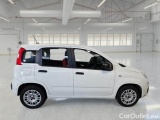  Fiat  Panda FIAT  / 2011 / 5P / BERLINA 1.2 69CV SeS E6D-TEMP EASY #7