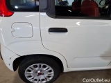  Fiat  Panda FIAT  / 2011 / 5P / BERLINA 1.2 69CV SeS E6D-TEMP EASY #36