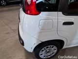  Fiat  Panda FIAT  / 2011 / 5P / BERLINA 1.2 69CV SeS E6D-TEMP EASY #41