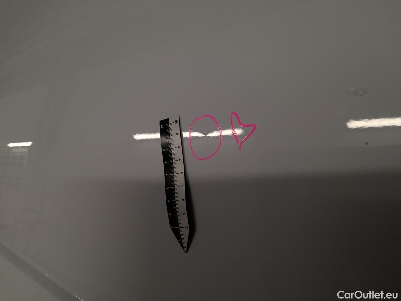  Ford  Transit Connect Tr.Conn.TDCi 100 22 L2 A Trend #19