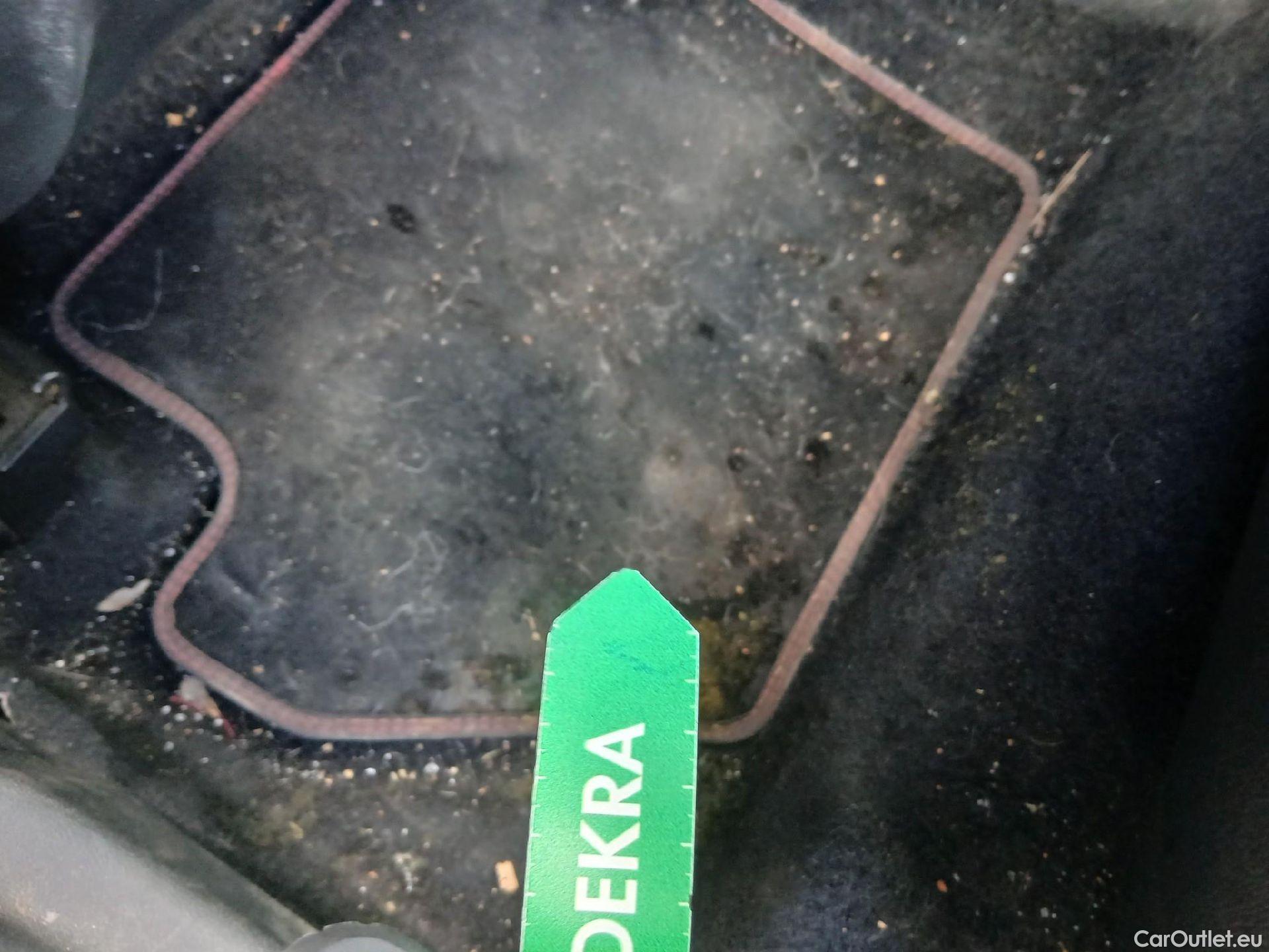  Ford  Puma FORD  / 2019 / 5P / todoterreno 1.0 EcoBoost 125cv ST-Line X MHEV #31