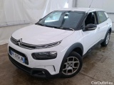 C4 Cactus