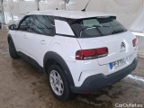 C4 Cactus