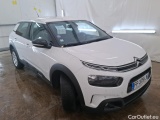 C4 Cactus