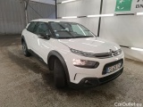 C4 Cactus