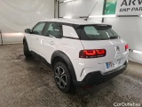 C4 Cactus