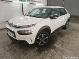 C4 Cactus
