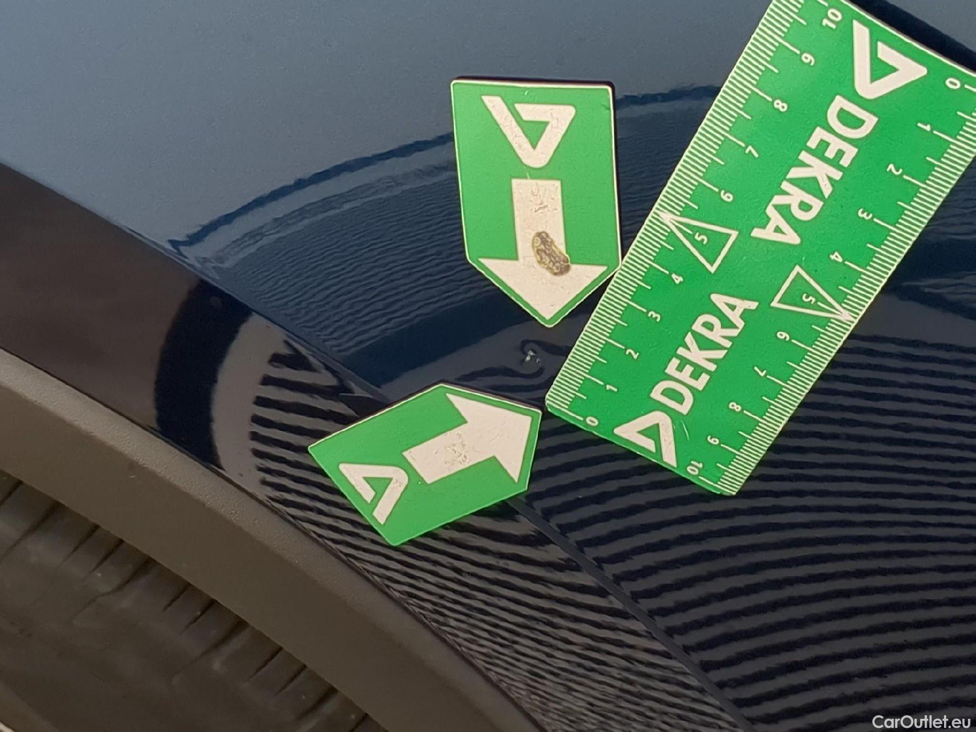  Skoda  Kodiaq  Business 2.0 TDI 150CV BVA7 E6d #22