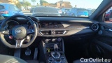  Alfa Romeo   STELVIO 2.9 V6 510 CV Quadrifoglio AT8 Q4 #9