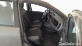  Fiat  Panda 1.0 FireFly 70cv S&S Hybrid #7