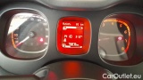  Fiat  Panda 1.0 FireFly 70cv S&S Hybrid #12