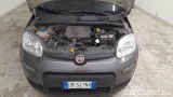  Fiat  Panda 1.0 FireFly 70cv S&S Hybrid #15