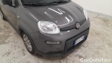  Fiat  Panda 1.0 FireFly 70cv S&S Hybrid #36