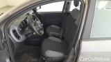  Fiat  Panda 1.0 FireFly 70cv S&S Hybrid #5
