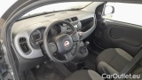  Fiat  Panda 1.0 FireFly 70cv S&S Hybrid #6
