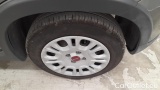  Fiat  Panda 1.0 FireFly 70cv S&S Hybrid #14