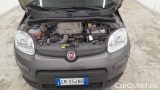  Fiat  Panda 1.0 FireFly 70cv S&S Hybrid #15