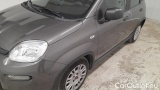  Fiat  Panda 1.0 FireFly 70cv S&S Hybrid #19