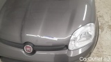  Fiat  Panda 1.0 FireFly 70cv S&S Hybrid #22
