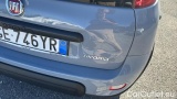  Fiat  Panda 1.0 FireFly 70cv S&S Hybrid City Life #35