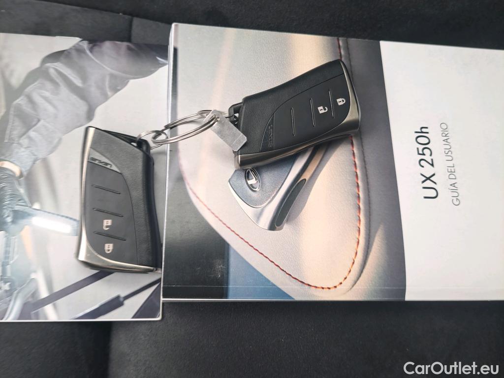  Lexus  UX LEXUS  / 2018 / 5P / todoterreno 2.0 250h Business City #7