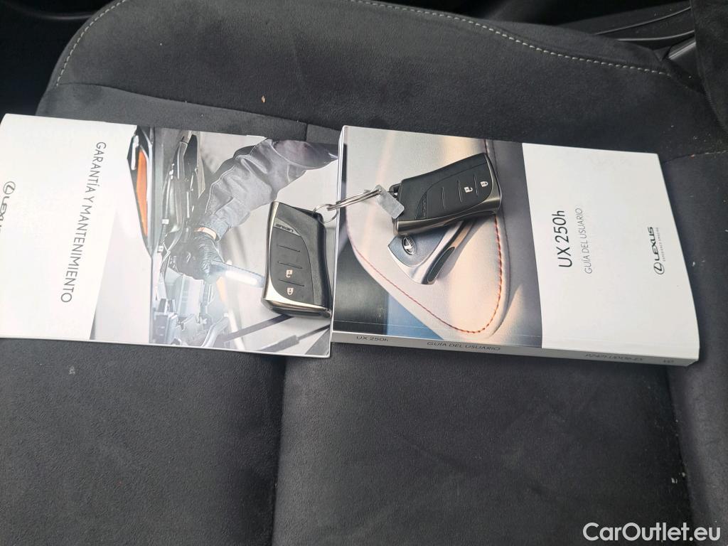  Lexus  UX LEXUS  / 2018 / 5P / todoterreno 2.0 250h Business City #6