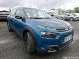 C4 Cactus