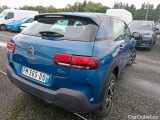 C4 Cactus