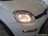  Fiat  Panda FIAT  / 2011 / 5P / BERLINA 1.0 FIREFLY 70CV SeS HYBRID CITY LIFE #42
