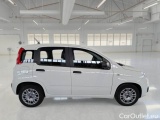  Fiat  Panda FIAT  / 2011 / 5P / BERLINA 1.0 FIREFLY 70CV SeS HYBRID #7