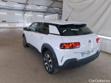C4 Cactus