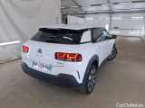 C4 Cactus