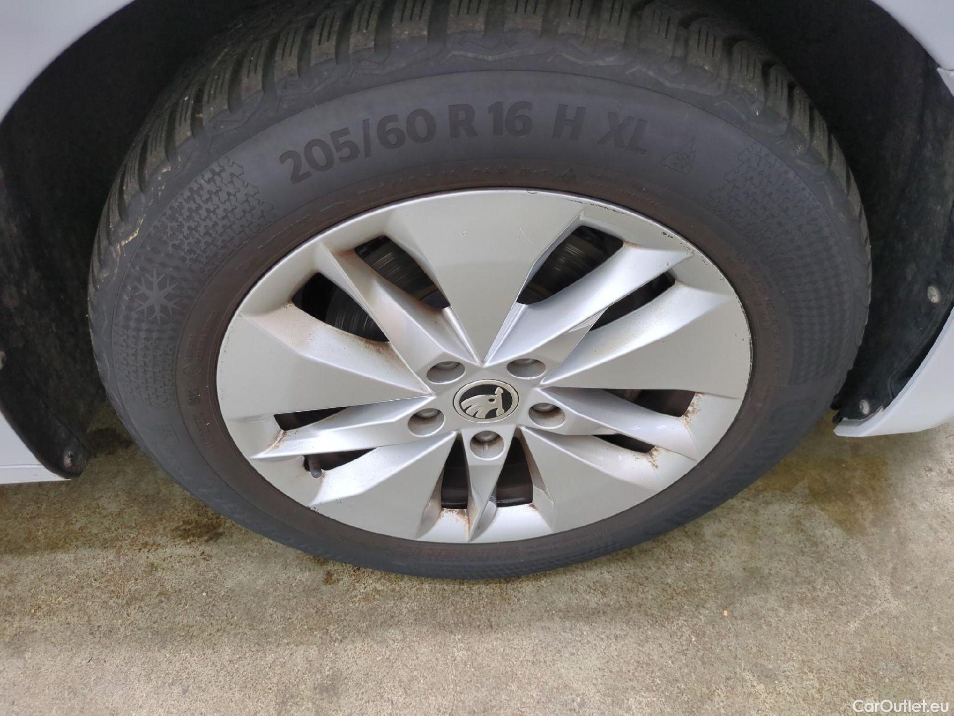  Skoda  Octavia  Break Business 2.0 TDI 115CV BVM6 E6d #6