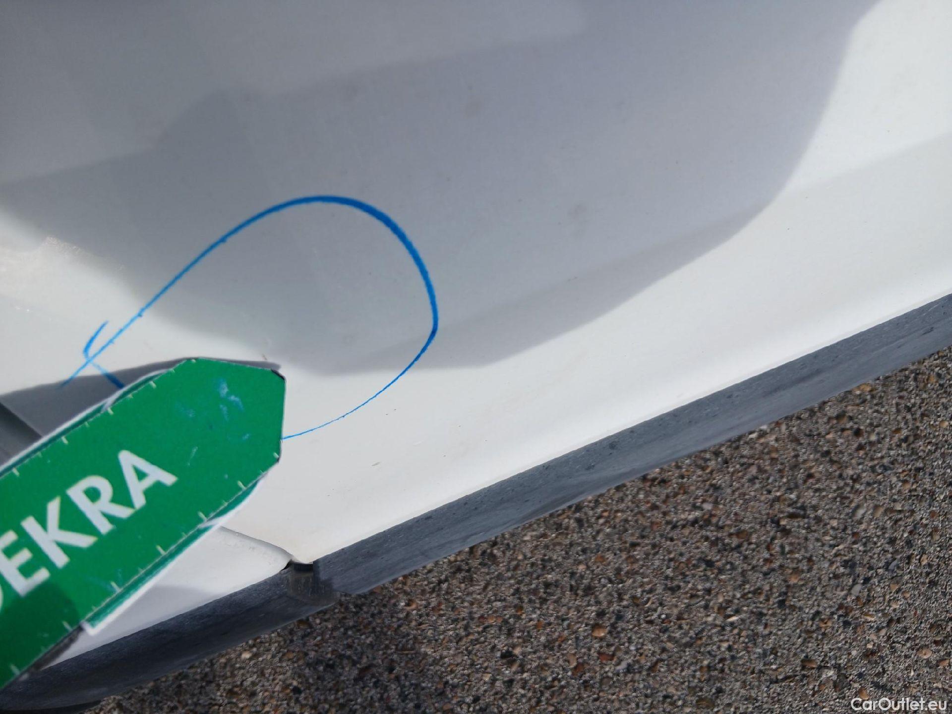  Renault  Trafic RENAULT  / 2019 / 4P / furgón Doble Cabina 27 L1 Energy BluedCi 88 kW #22