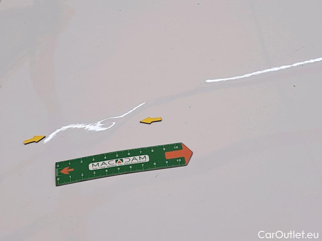  Renault  Kangoo  Express Maxi Extra (Série Spéciale) 1.5 #17