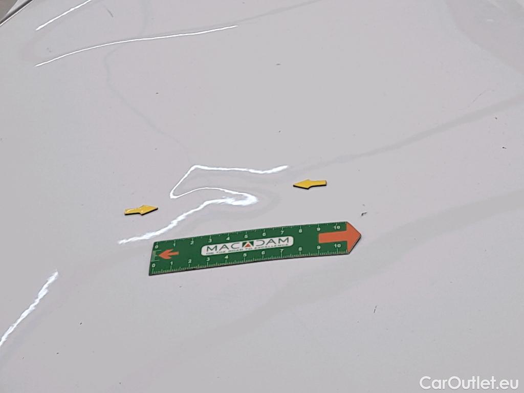  Renault  Kangoo  Express Maxi Extra (Série Spéciale) 1.5 #14