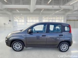  Fiat  Panda FIAT  / 2011 / 5P / BERLINA 1.2 69CV E6 EASY #8