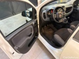  Fiat  Panda 1.0 FireFly 70cv S&S Hybrid Manual Petrol  23 #19