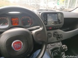  Fiat  Panda 1.0 FireFly 70cv S&S Hybrid City Life Manual Petrol  24 #67