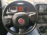  Fiat  Panda 1.0 FireFly 70cv S&S Hybrid City Life Manual Petrol  24 #68