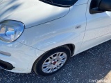  Fiat  Panda 1.0 70cv S&S Hybrid Manual Petrol  31 #49