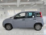  Fiat  Panda FIAT  / 2011 / 5P / BERLINA 1.0 FIREFLY 70CV SeS HYBRID #8