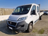 Ducato