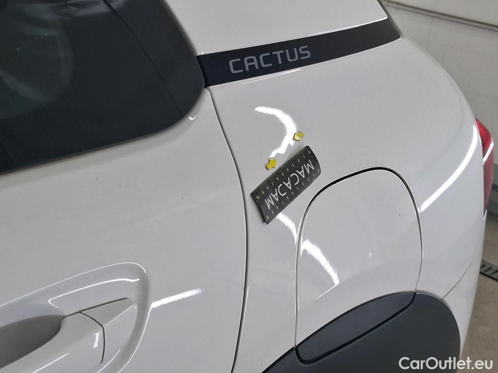  Citroen  C4 Cactus  Feel Business 1.2 PureTech 110CV BVM6 E6dT #4