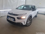 C4 Cactus