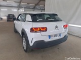 C4 Cactus
