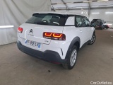C4 Cactus