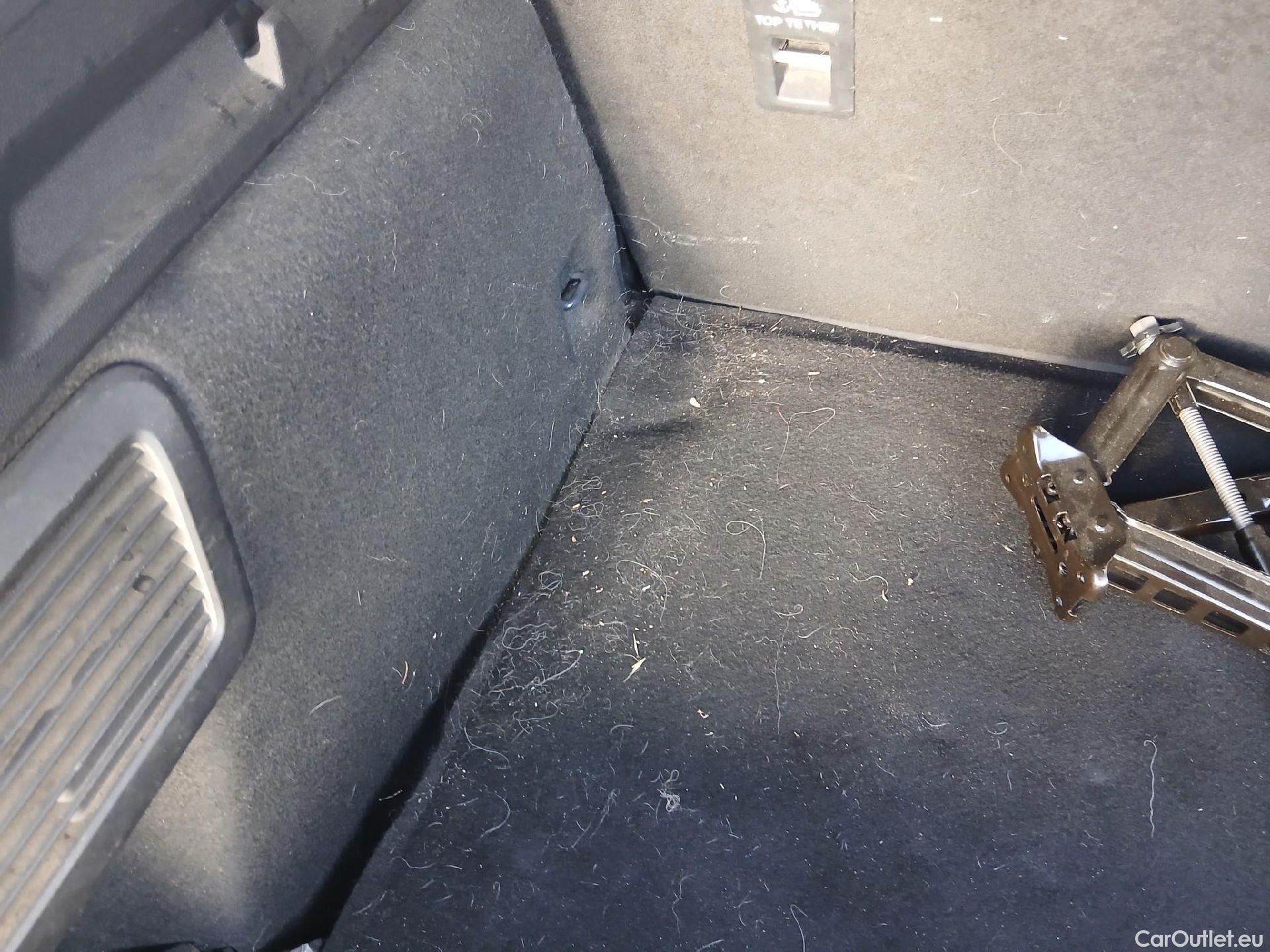  Ford  Focus FORD  / 2018 / 5P / berlina con portón 1.5 Ecoblue 70kW Trend+ #4